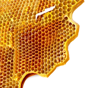 Honeycomb Closeup PNG Sgg