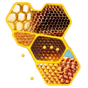 Honeycomb For Design Projects PNG 32 PNG