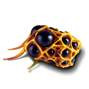 Honeycomb Grid PNG Mfc35