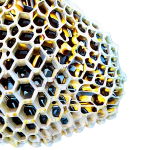 Honeycomb In Nature PNG 05232024