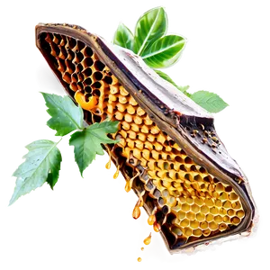 Honeycomb In Nature PNG 59