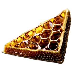 Honeycomb Slice Png 72 PNG image