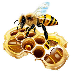 Honeycomb With Bee PNG Fci PNG