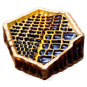Honeycomb With Light PNG Etw PNG