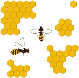 Honeycomband Bees Pattern PNG image