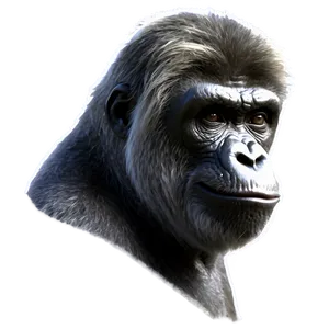 Honor Harambe PNG 06262024