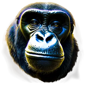 Honor Harambe PNG 4