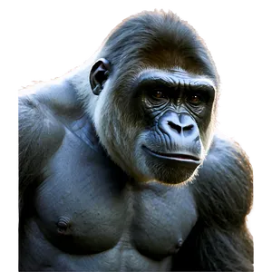 Honor Harambe PNG 89