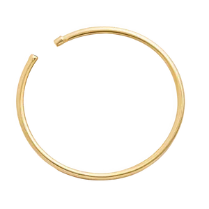 Hoop Nose Ring Png 47 PNG image