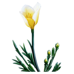 Hopeful Freesia PNG Vsp84 PNG