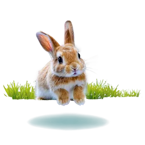 Hopping Rabbit PNG 11
