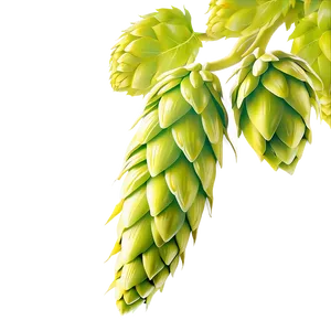 Hops Cone Silhouette PNG Ixn PNG