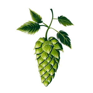 Hops Cone Silhouette PNG Klg12 PNG