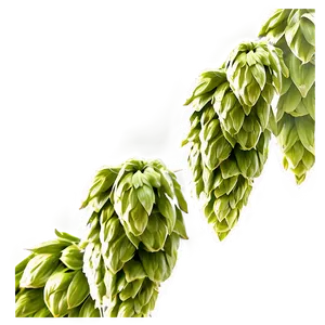 Hops Farming Landscape PNG 06292024
