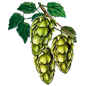 Hops Harvest Scene PNG 06292024