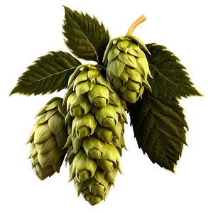 Hops Harvest Scene PNG Rgh