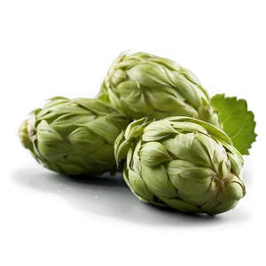 Hops Ingredient Source PNG Eaa5 PNG