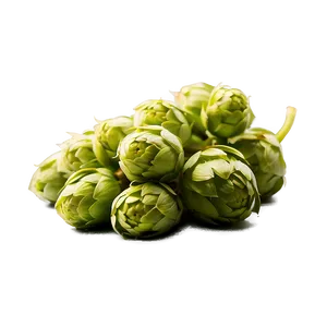 Hops Logo Element PNG 31