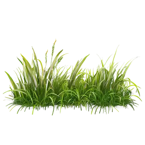 Horizontal Grass Clipart PNG 06272024