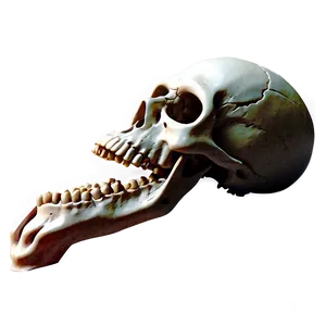 Horror Skull Scene PNG D