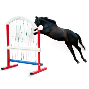 Horse Agility Competitions PNG 65 PNG