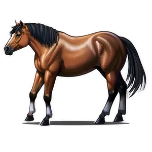 Horse Cartoon Sketch Png Cca PNG image