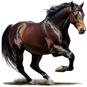Horse Chase Dynamic PNG Tte58 PNG
