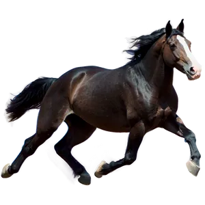 Horse Fleeing Running PNG 34 PNG