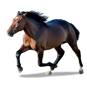 Horse Fleeing Running PNG Mvg56 PNG