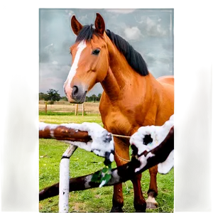Horse Friendship Moments PNG Bva PNG