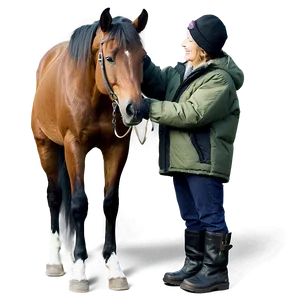 Horse Friendship Moments PNG Qeg