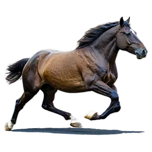 Horse Galloping On Beach PNG Khc26 PNG