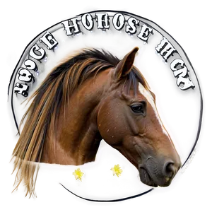 Horse Grooming Excellence PNG Yfa PNG