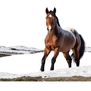 Horse In Snowy Landscape PNG Fdw