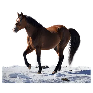 Horse In Snowy Landscape PNG Pxq49 PNG