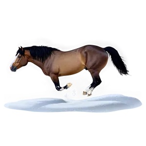 Horse In Snowy Landscape PNG Tae34 PNG