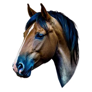 Horse Mane Beauty Shots PNG 63 PNG