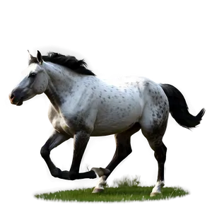 Horse Running A PNG image