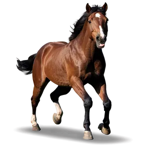 Horse Running B PNG image