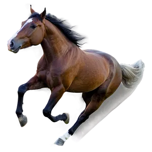 Horse Running D PNG image