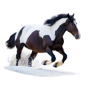 Horse Running In Snow PNG Fhr47 PNG