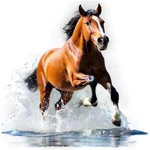 Horse Running In Water Splash PNG Fga95 PNG