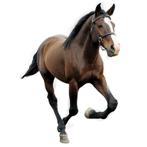 Horse Running Towards Horizon PNG Eje PNG