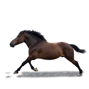 Horse Running Towards Horizon PNG Kmh33 PNG