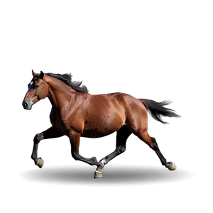 Horse Running Towards Horizon PNG Ryw38 PNG