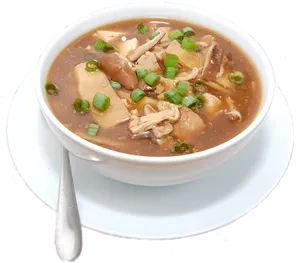 Hot Chicken Soup Bowl PNG image