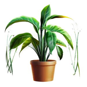 House Plant Png 05032024 PNG image