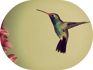Hovering Hummingbird Near Flowers PNG image
