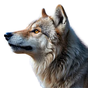 Howling Wolf Head Icon Png 06122024 PNG image