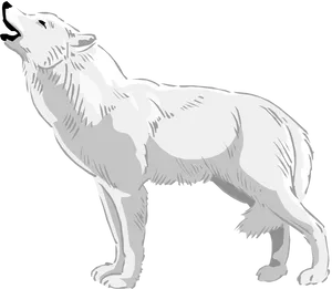 Howling Wolf Vector Illustration